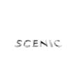 Scenic 2-II Arka Monogram (SCENIC) Yazı (2003-2009) 8200211785 -Yerli Üretim