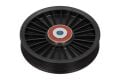 Master 2-II Espace 4-IV Alternatör Gergi Rulmanı2.2 Dci G9T-2.5 Dci G9U 7700313302 -Aba Rulman