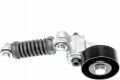 Espace 3-III Alternatör V Kayış Gergisi Komple 2.2 12V G8T (Dizel) 7700106708 -Dayco