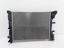 Zoe Motor Su Radyatörü 2020-> 214104950R -Renault Mais