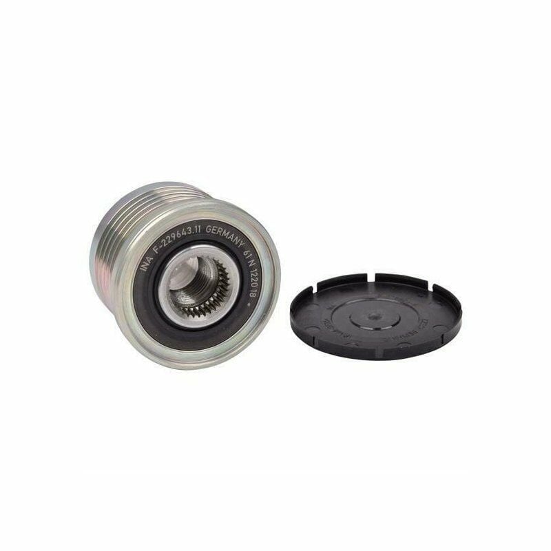 Laguna 2-II Trafic 2-II Alternatör Kasnağı (Rulmanlı 5 Kanal) 1.9 Dci F9Q 535004810 -Ina