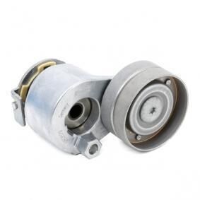 8200905328 RENAULT Megane Megane 2-II Alternatör Gergi Rulmanı Komple 1.9 Dci F9Q (2003-2010) 8200905328 -Renault Mais OEM 8200905328 Oto Mavili