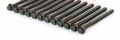 Laguna 1-I Safrane Silindir Kapak Saplama (Adet) 2.0 16V N7Q 7436842347 -İthal