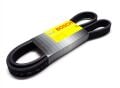 Clio 2-II Twingo Kanallı V Kayışı 1.2 8V D7F 7701064354 -Bosch