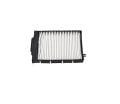 Megane 2-II Polen Filtresi (2003-2010) 7701064235-7701055109 -Sardes