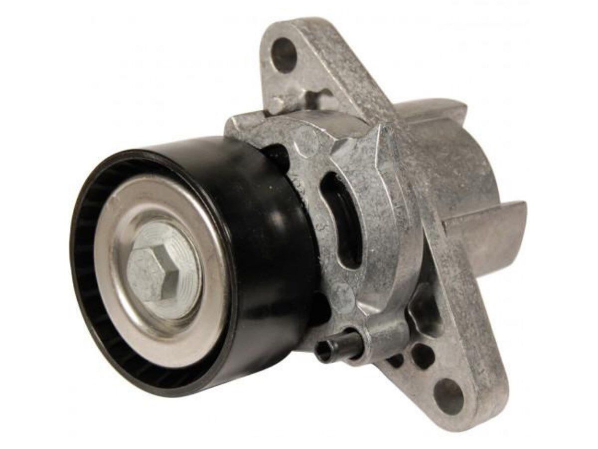 Clio 2-II Megane 1-I Laguna 1-I Alternatör Gergi Rulmanı (Kütüğü